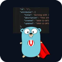 img of Como validar datos de entrada en Go: validator/v10