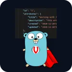 Imágen de Como validar datos de entrada en Go: validator/v10